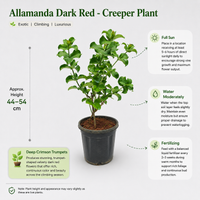 The Plantor