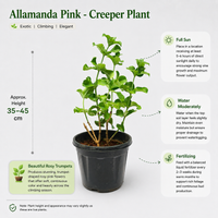 The Plantor