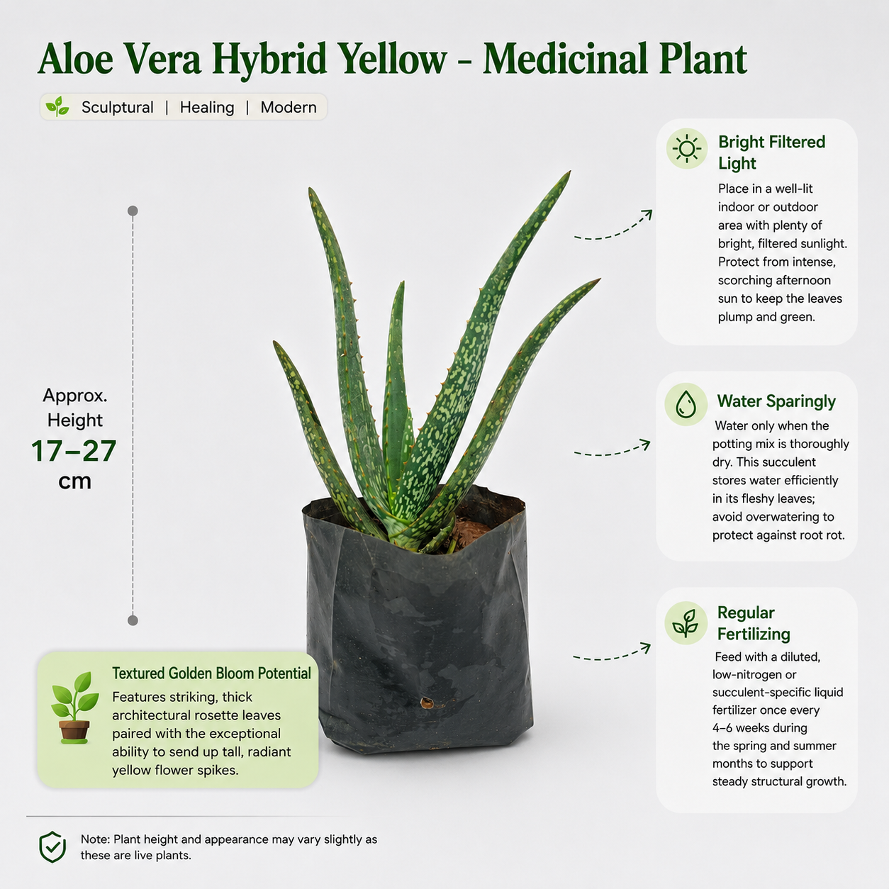The Plantor