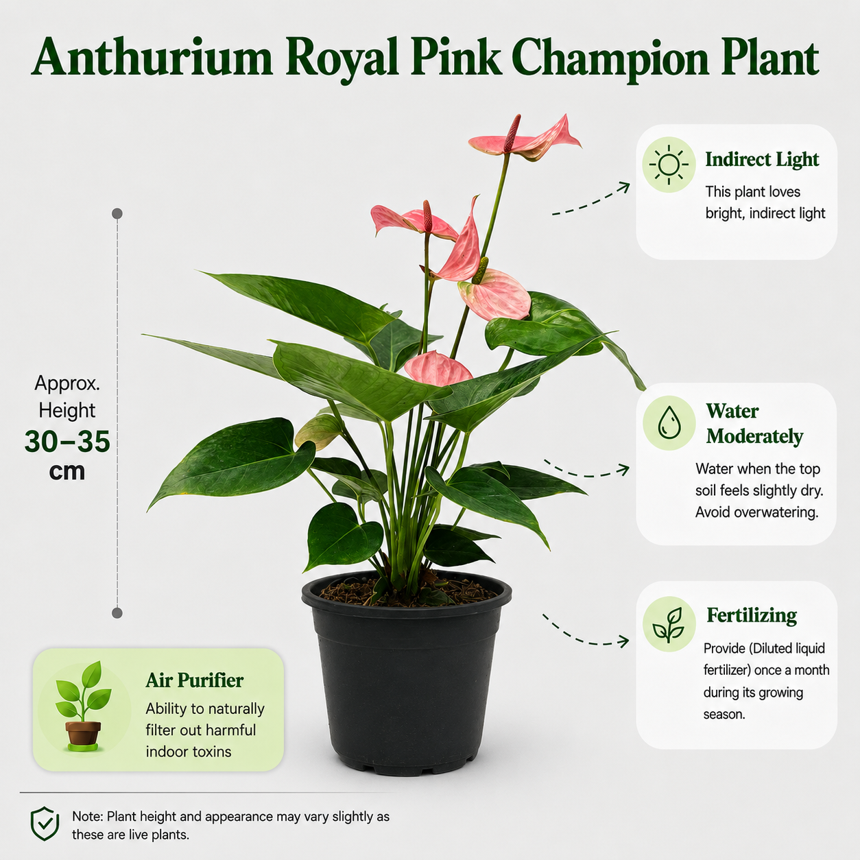 The Plantor