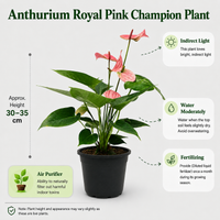 The Plantor