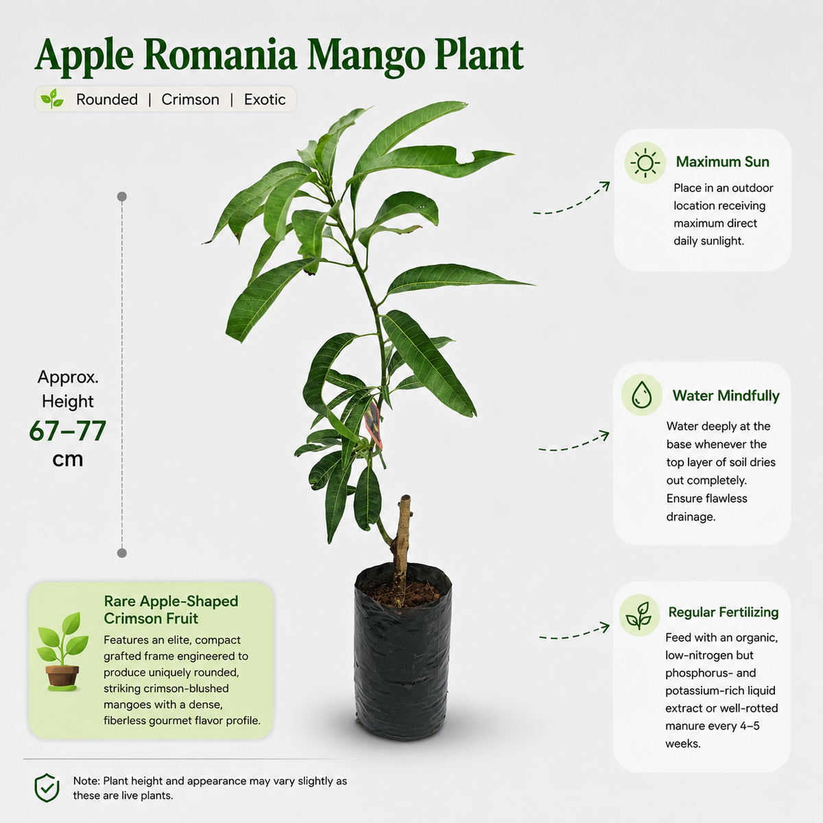 The Plantor