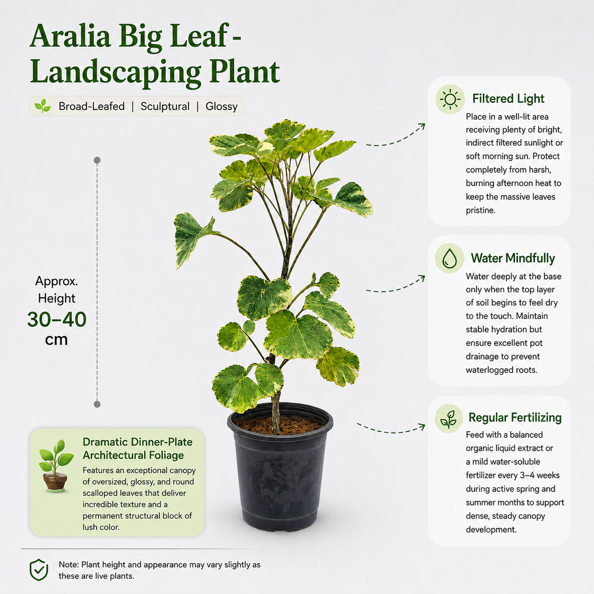 The Plantor