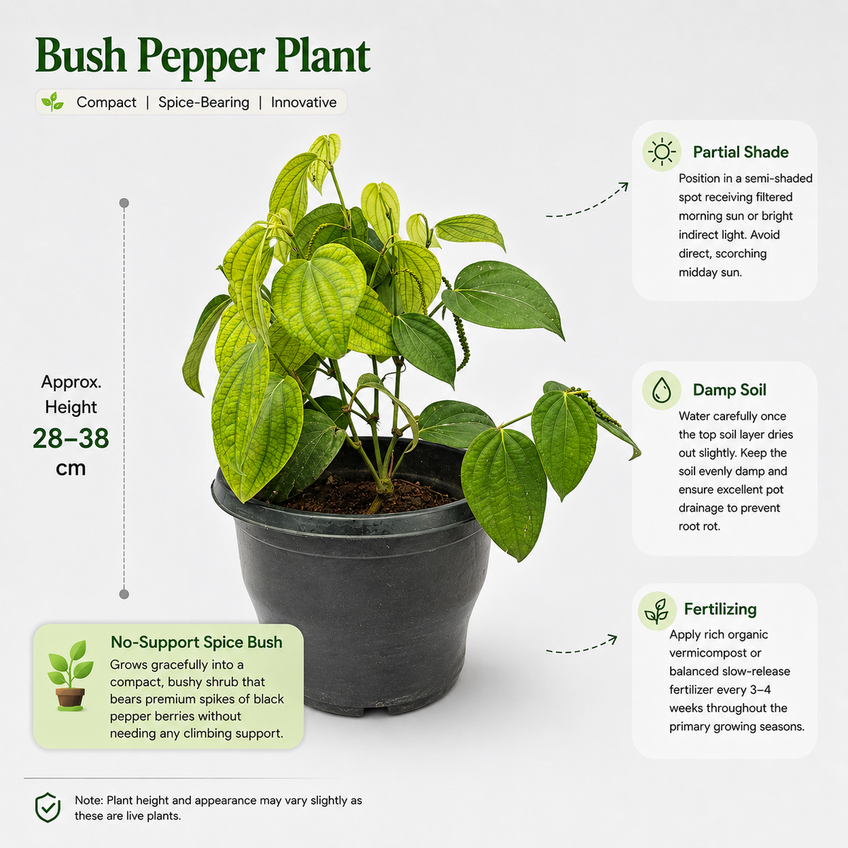 The Plantor