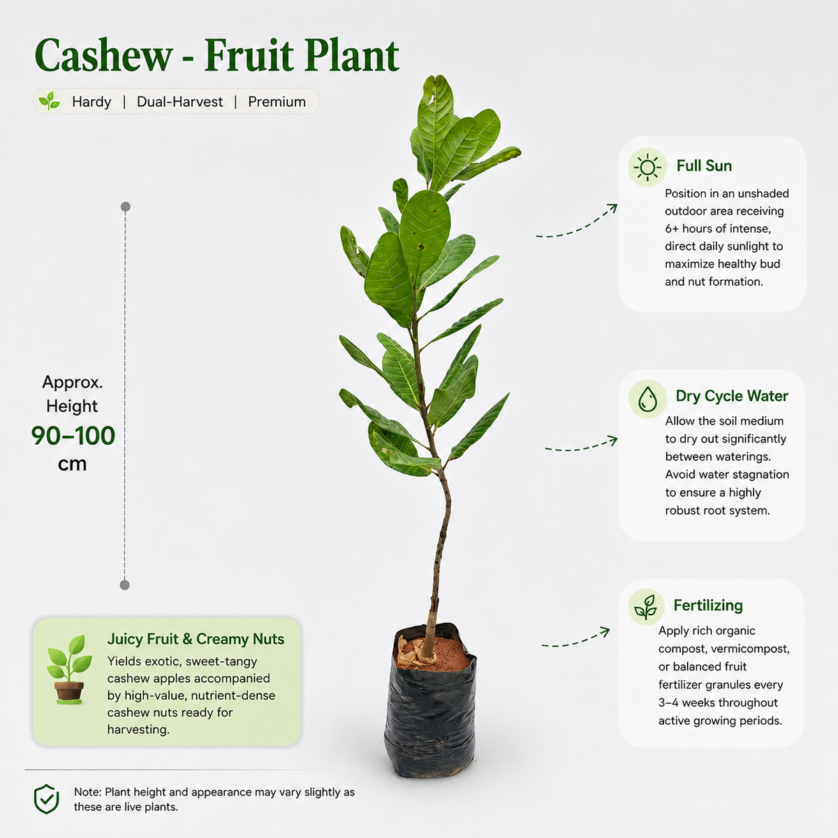 The Plantor