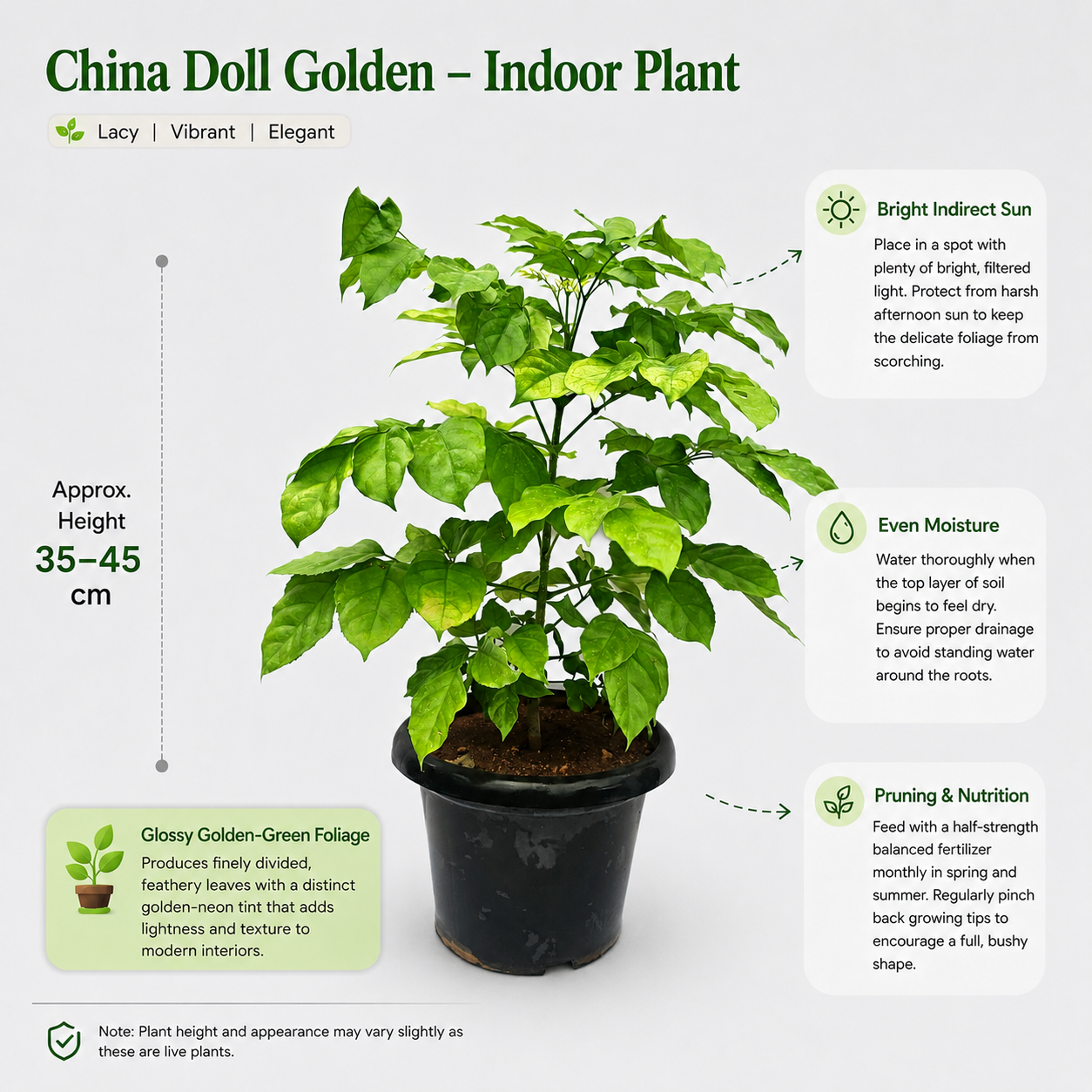 The Plantor
