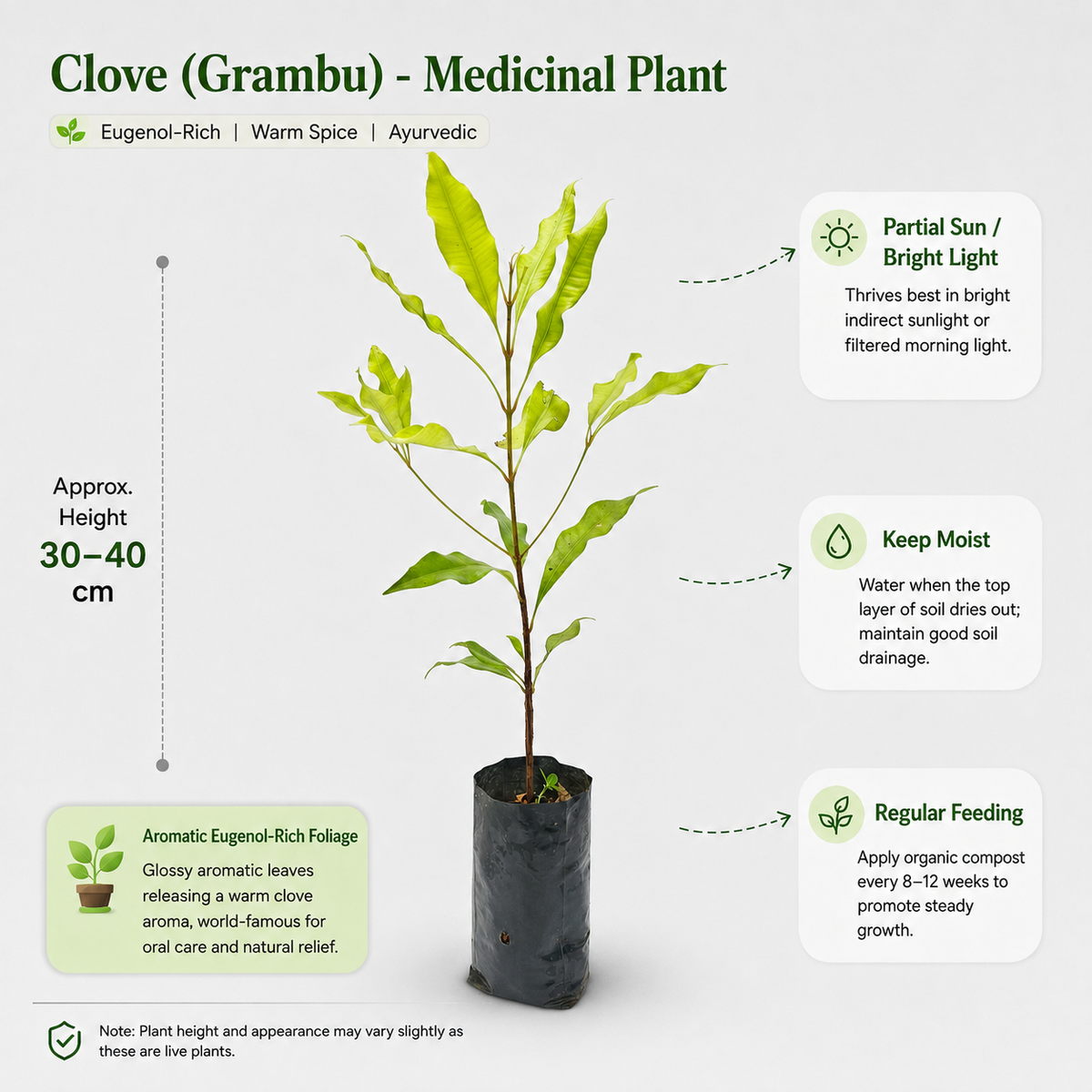 The Plantor