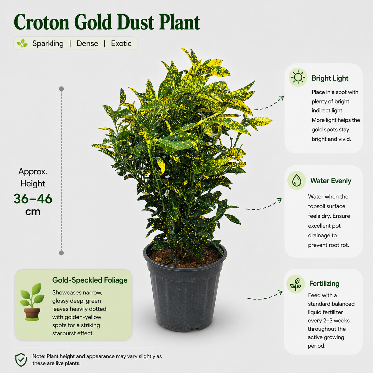 The Plantor