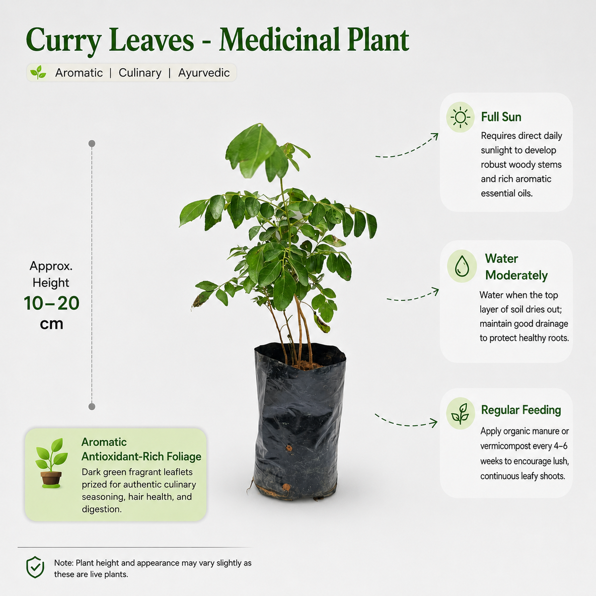 The Plantor