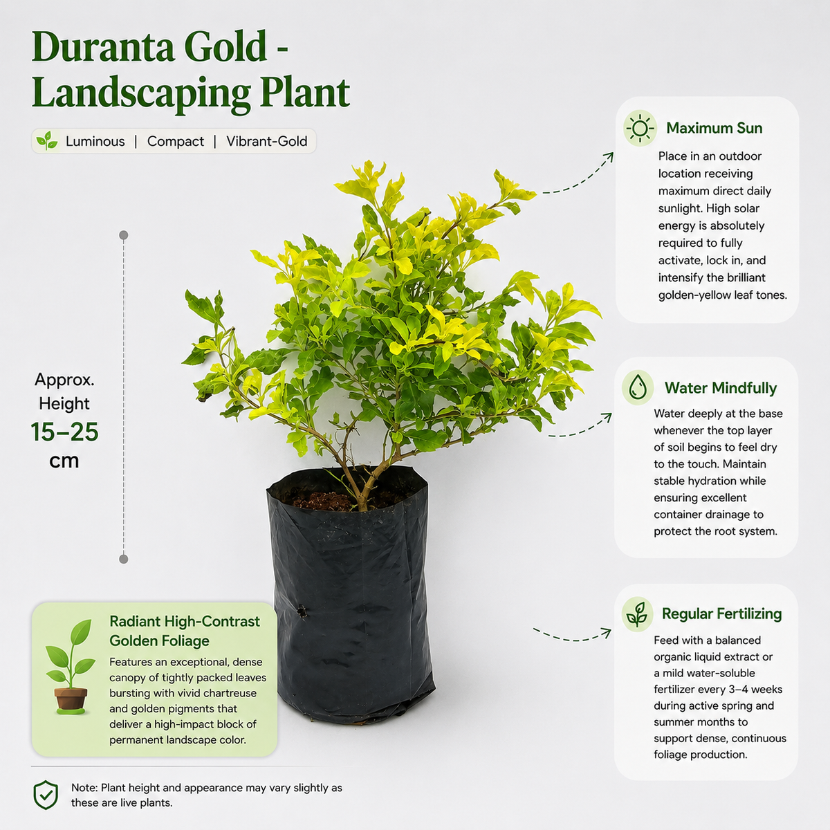 The Plantor