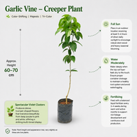 The Plantor