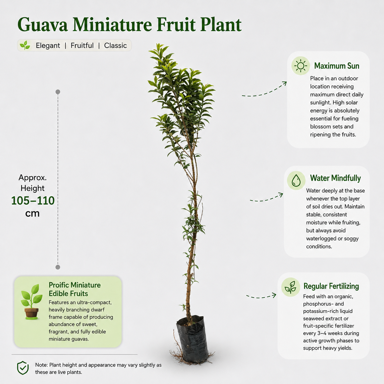 The Plantor