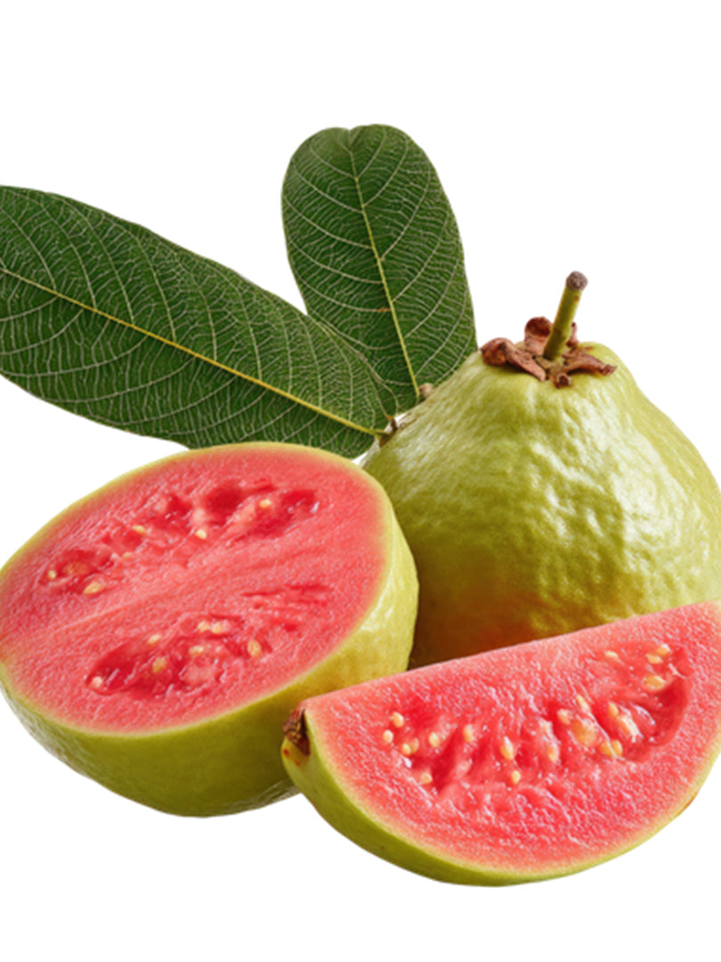 Pink Guava (Small Leaf) - Fruit Plant
