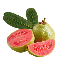 The Plantor