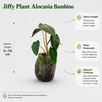 The Plantor