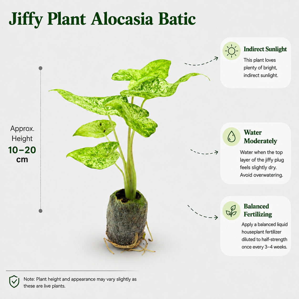 The Plantor