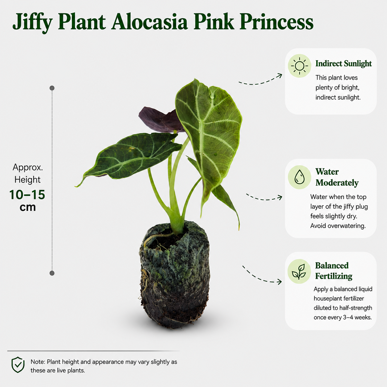 The Plantor