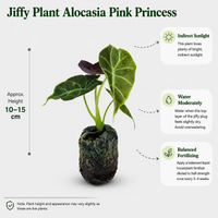 The Plantor
