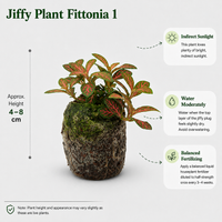 The Plantor