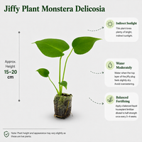 The Plantor