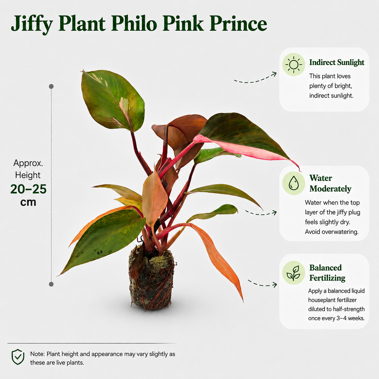 The Plantor