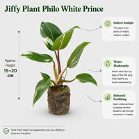The Plantor