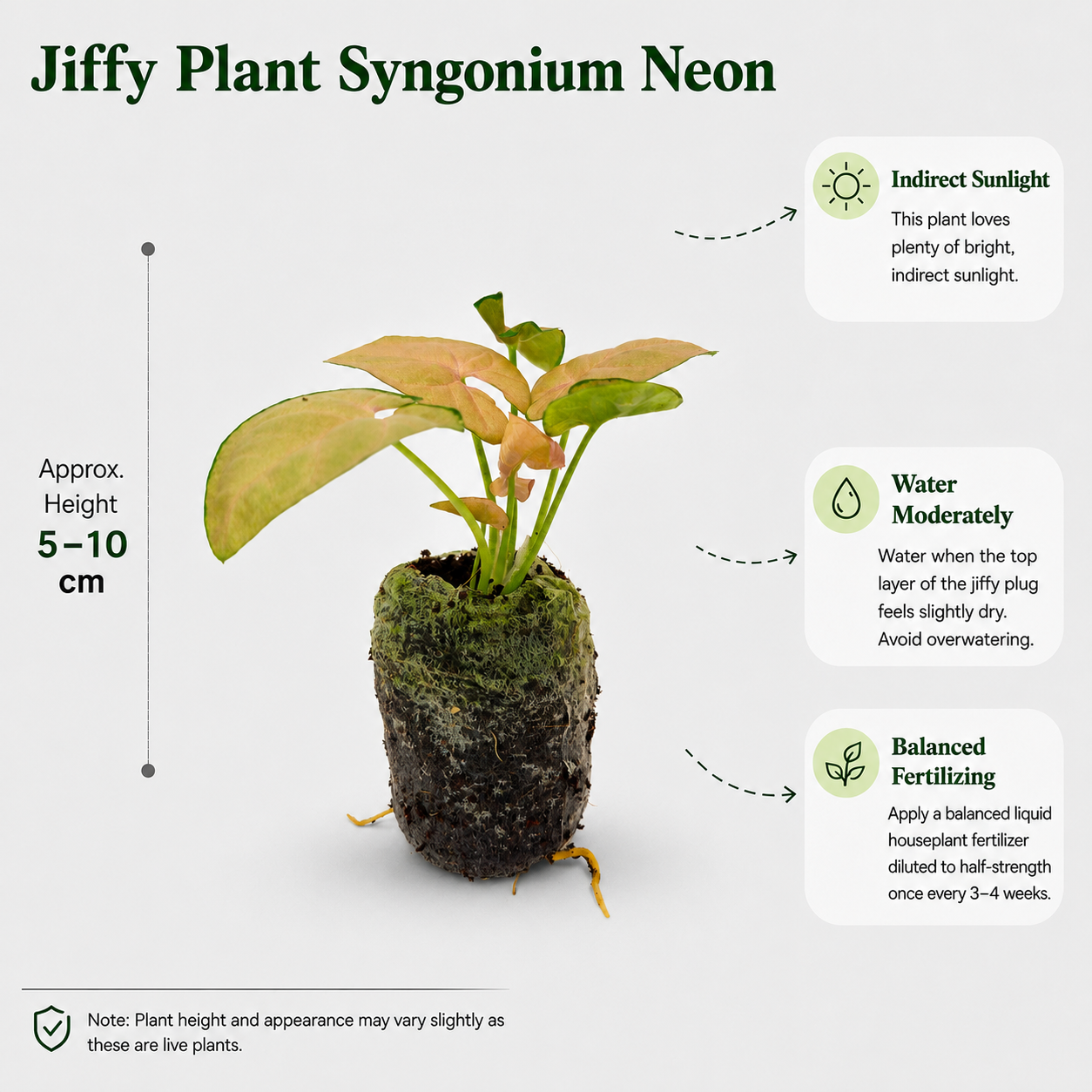 The Plantor