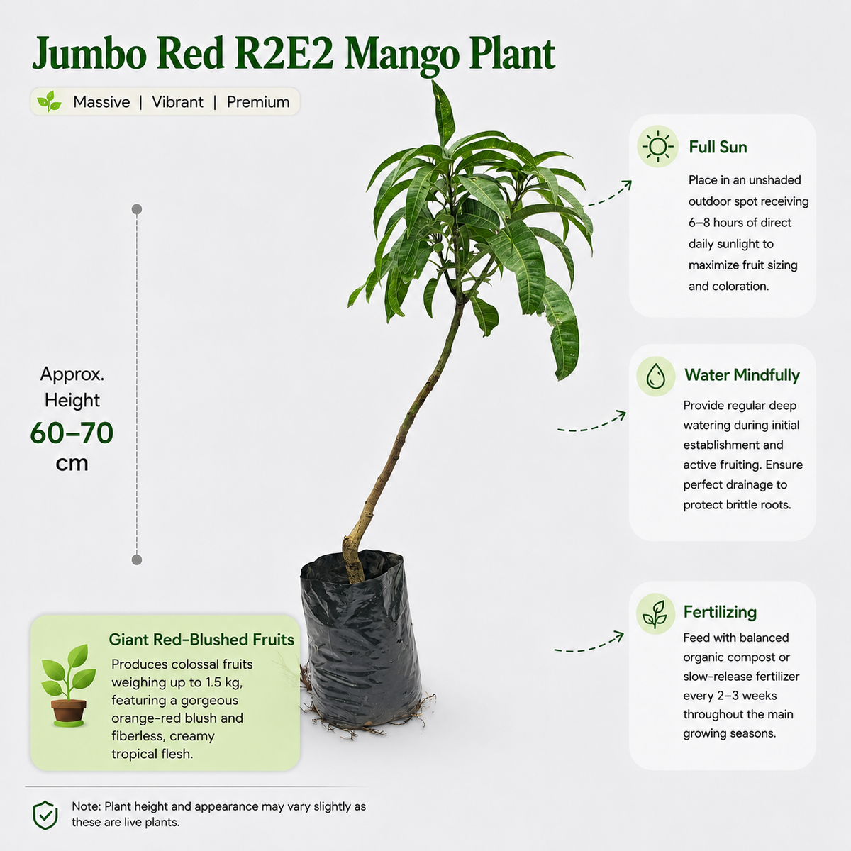 The Plantor
