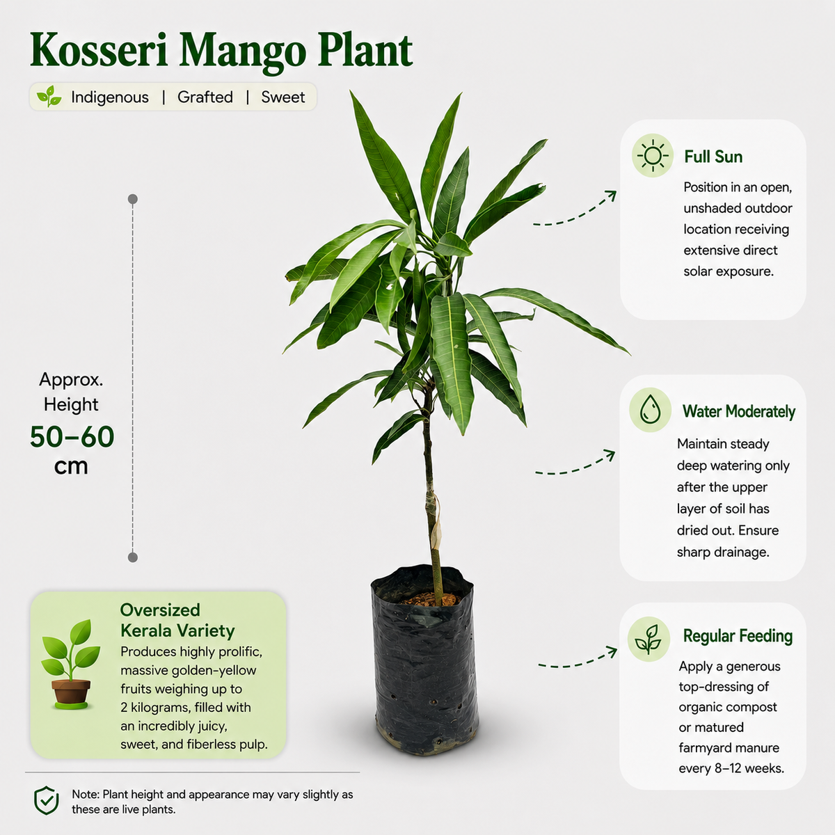 The Plantor