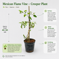 The Plantor