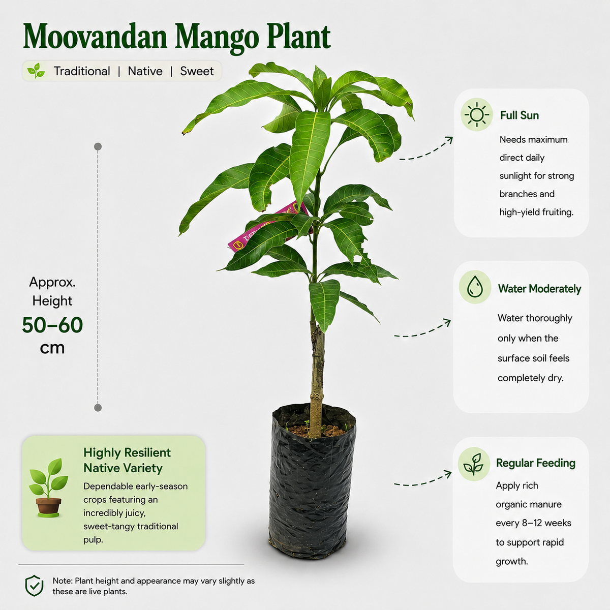 The Plantor