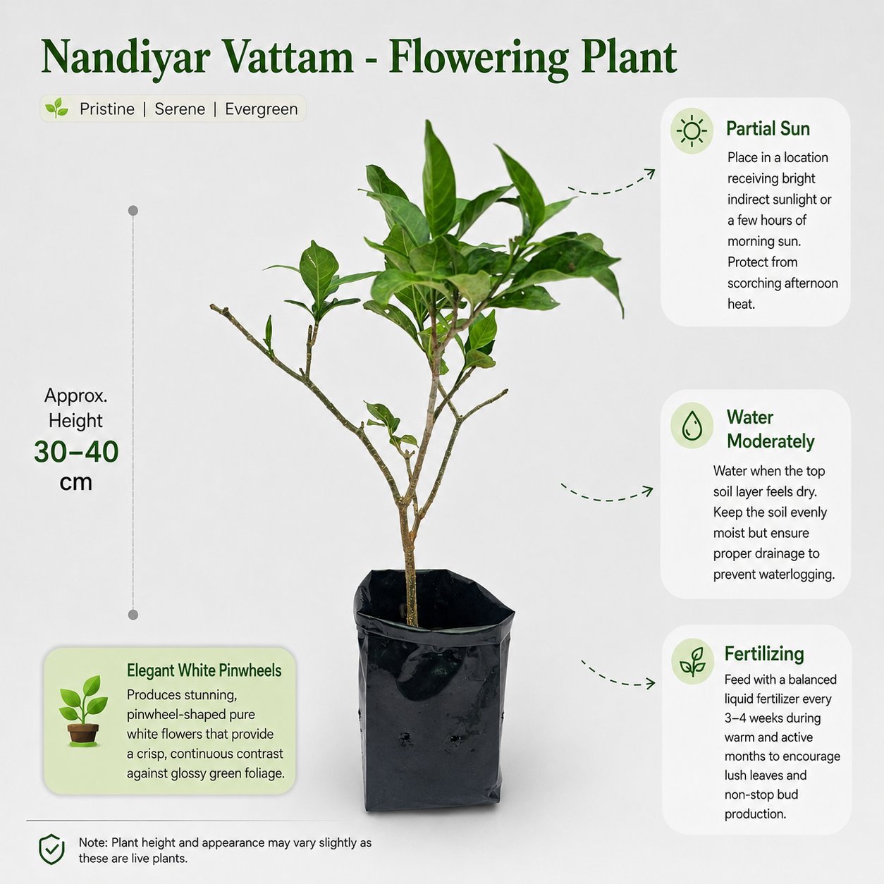 The Plantor