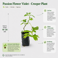 The Plantor