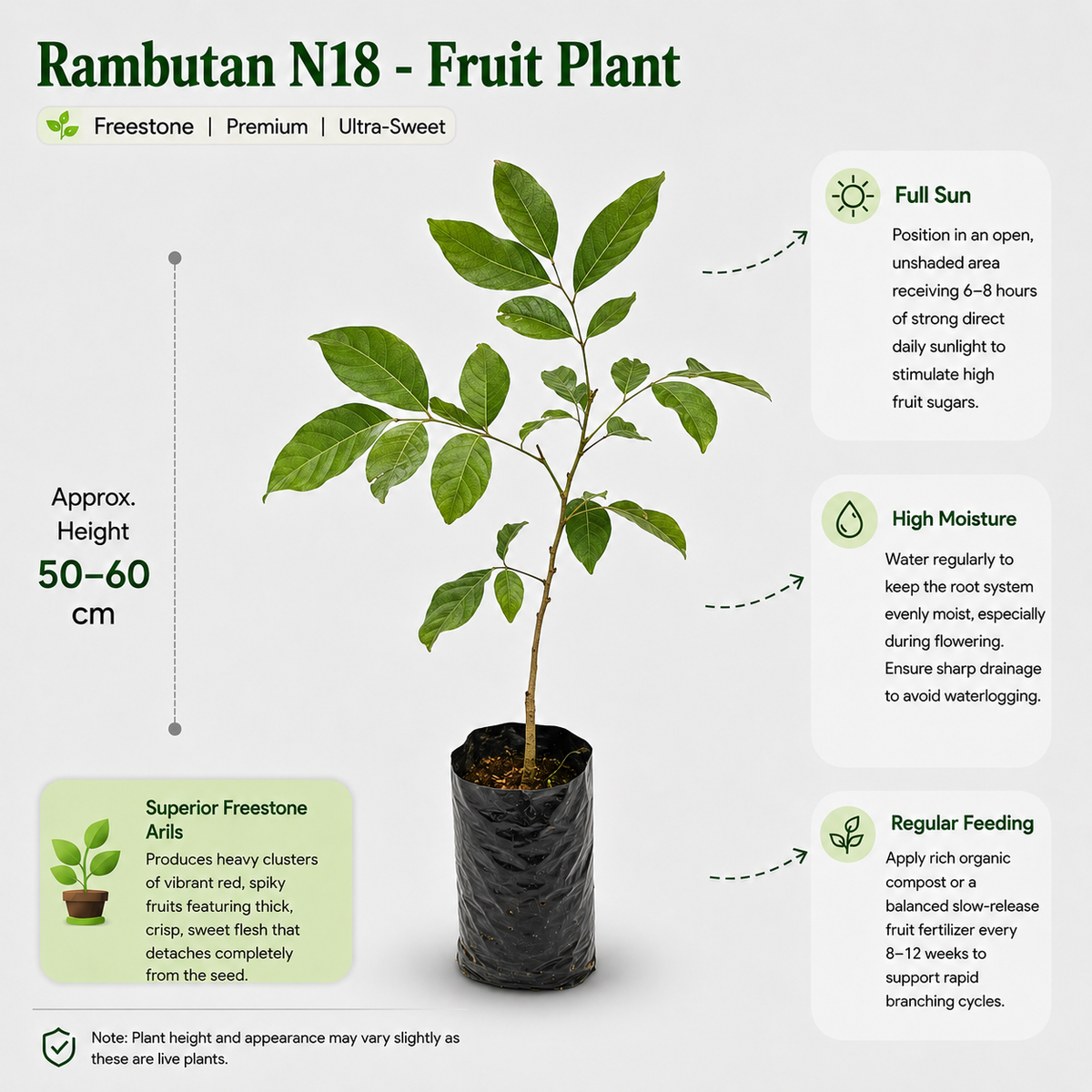 The Plantor