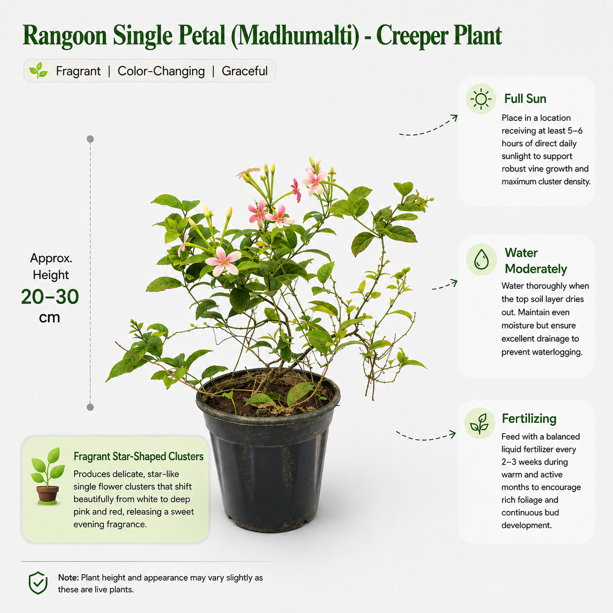 The Plantor