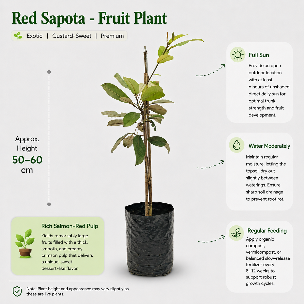 The Plantor