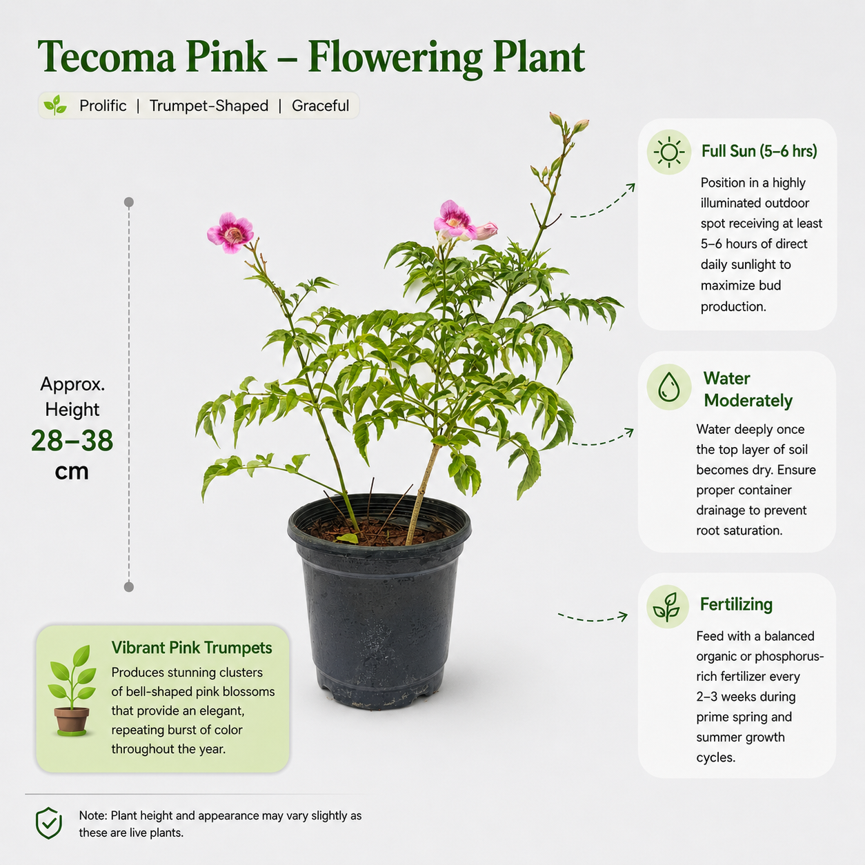 The Plantor