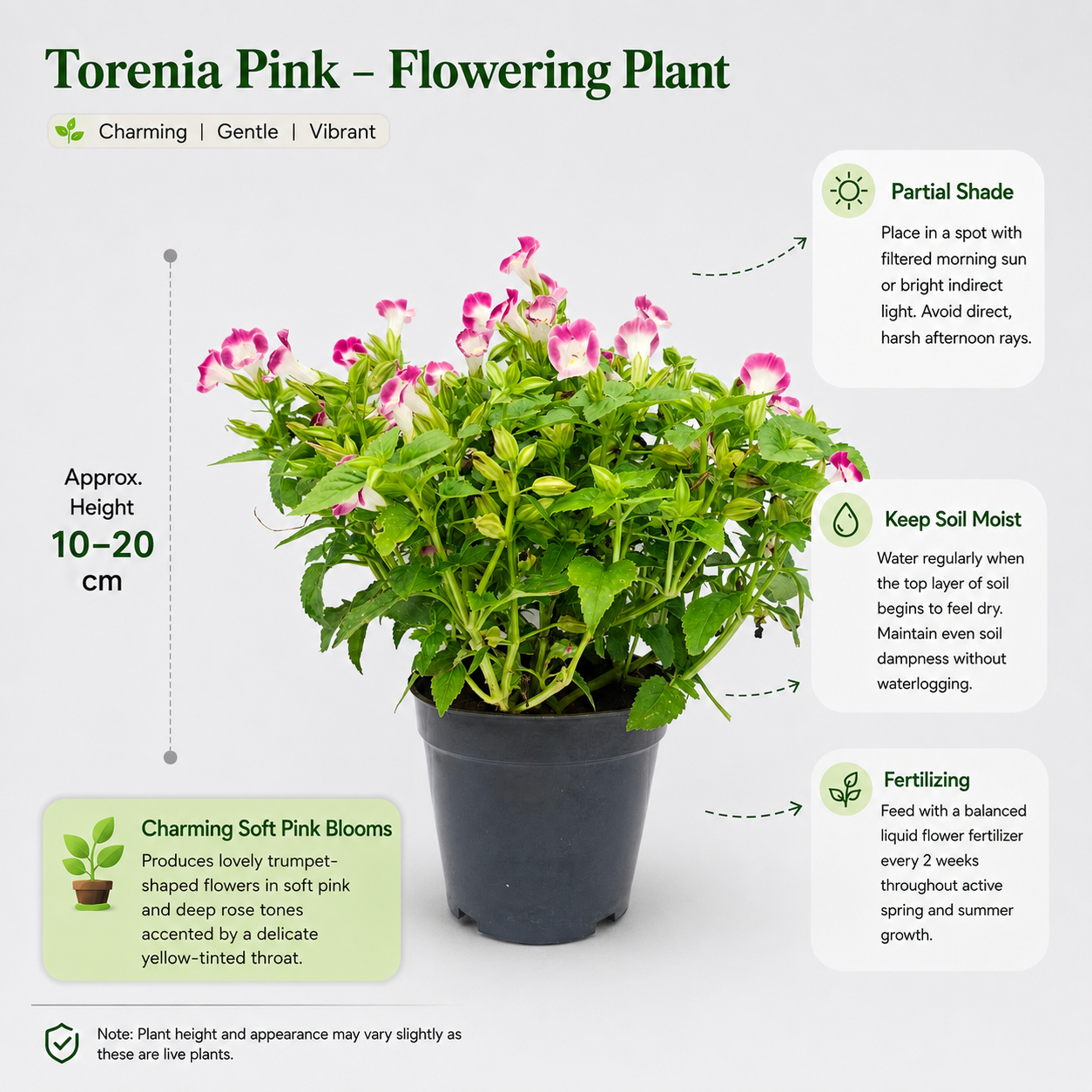 The Plantor
