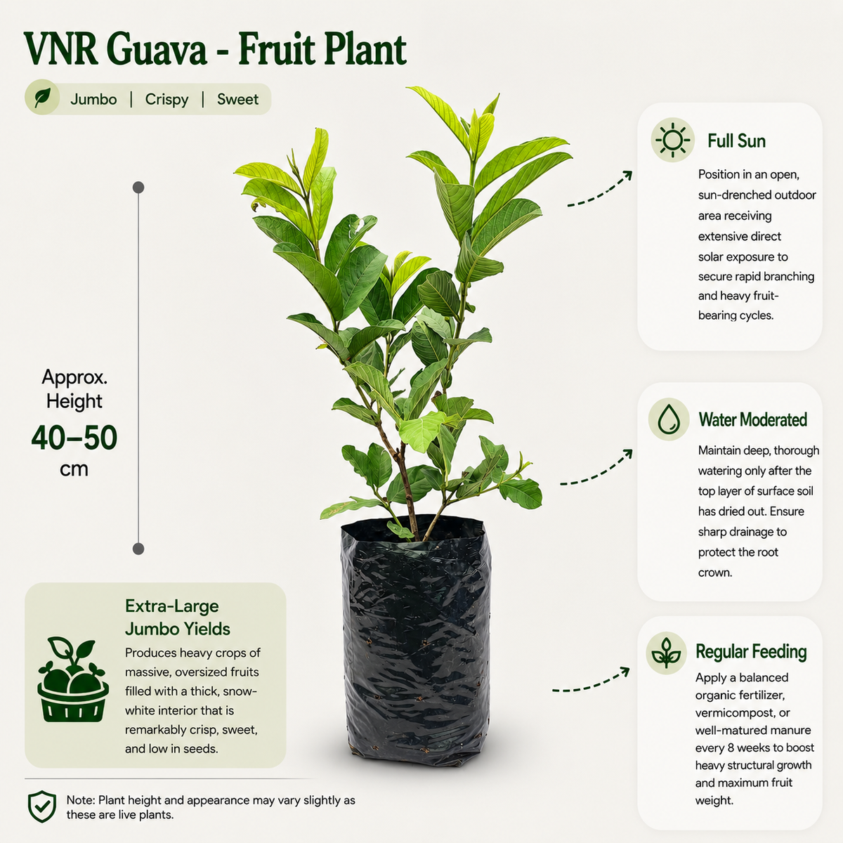 The Plantor