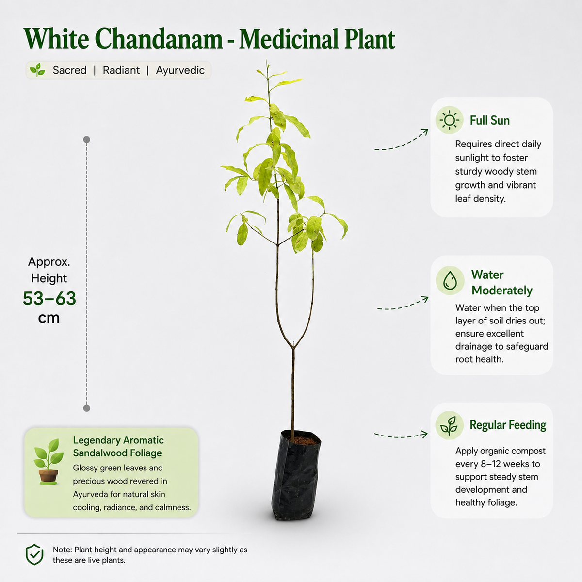 The Plantor