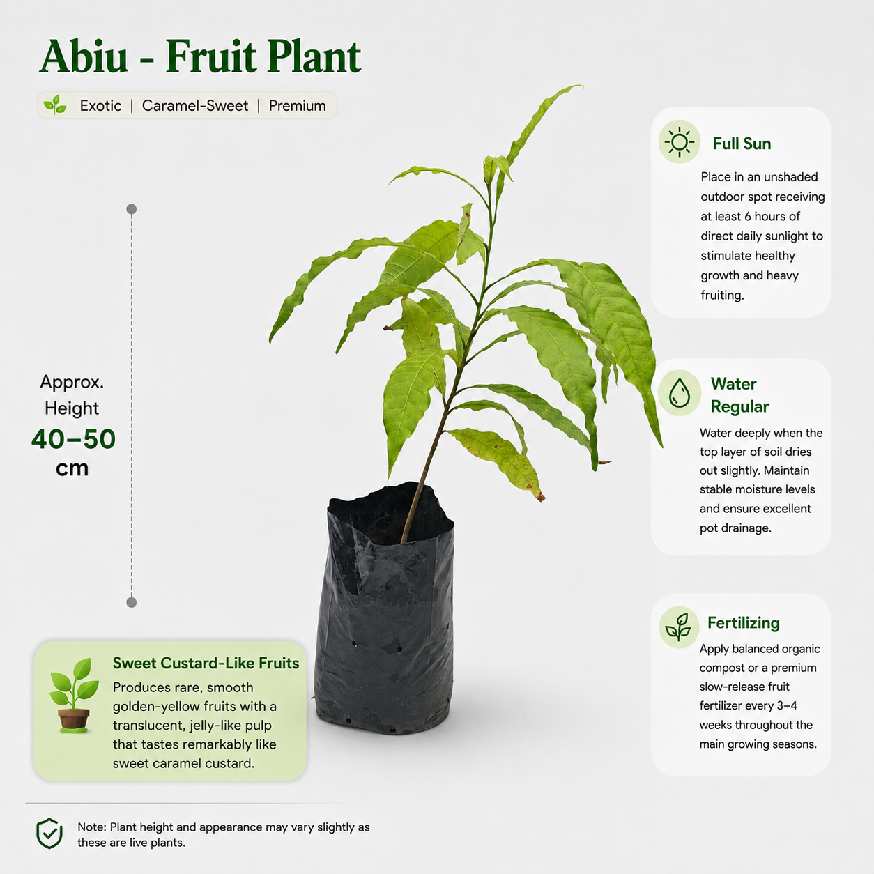 The Plantor