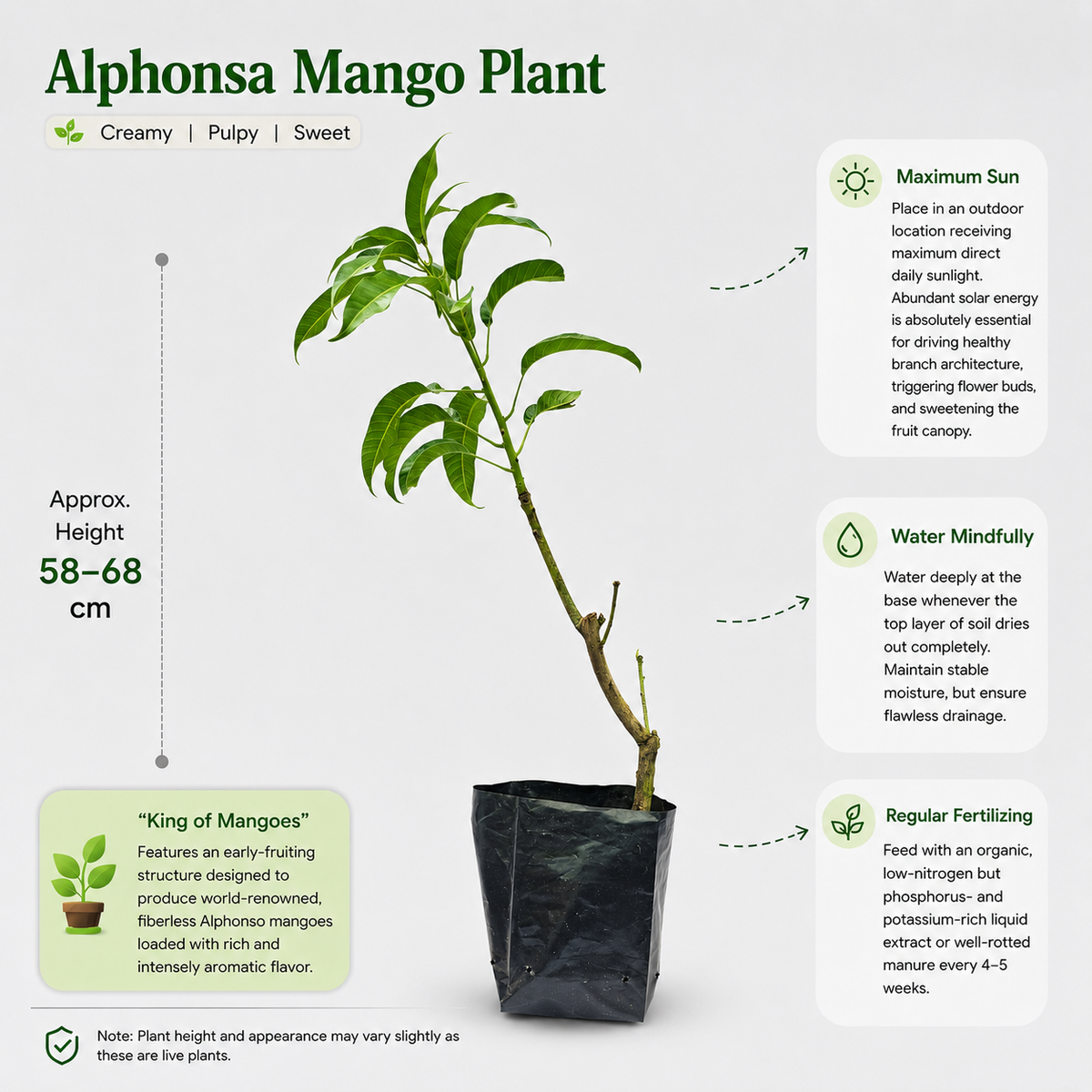 The Plantor