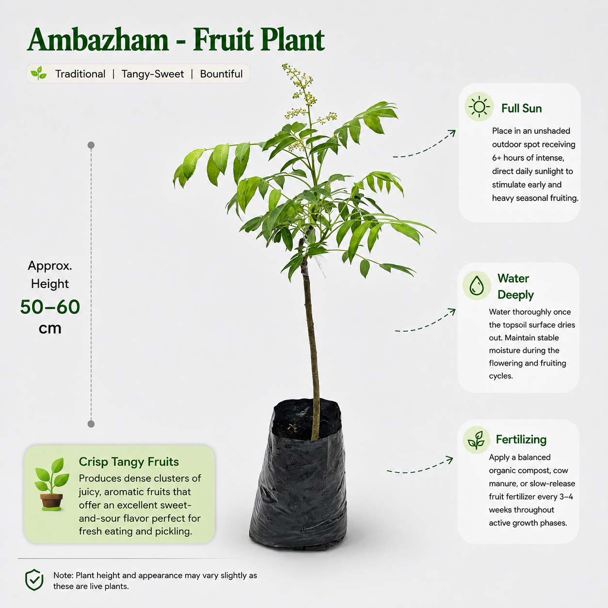 The Plantor