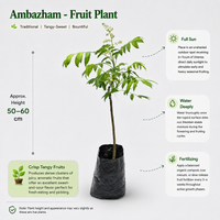 The Plantor