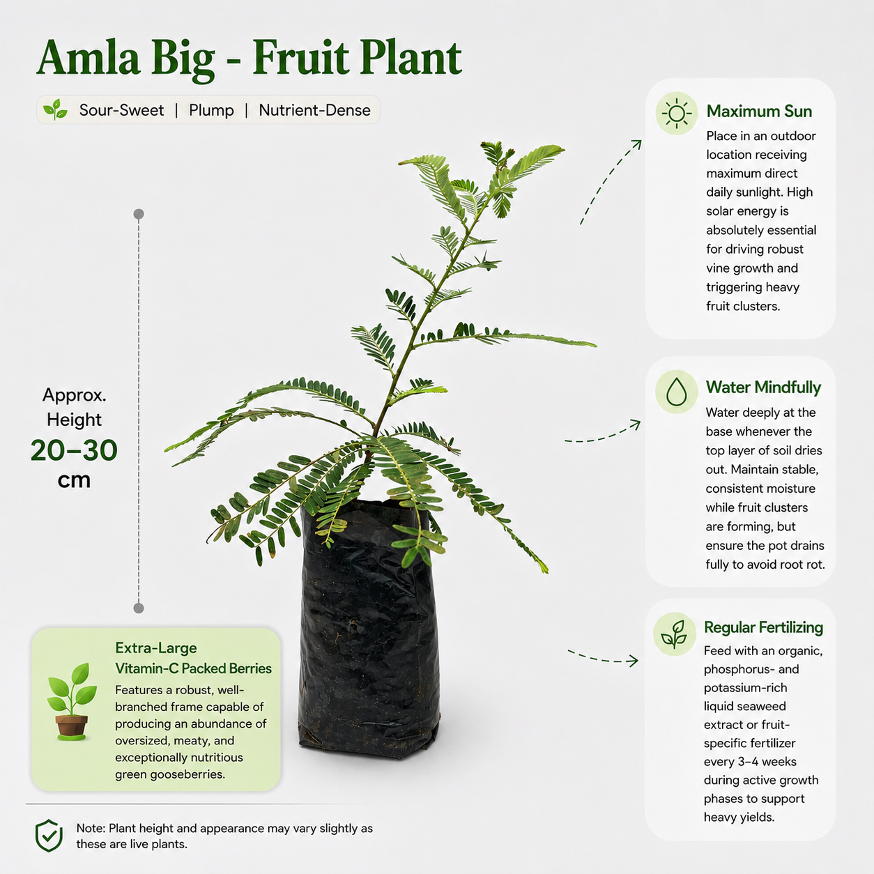The Plantor