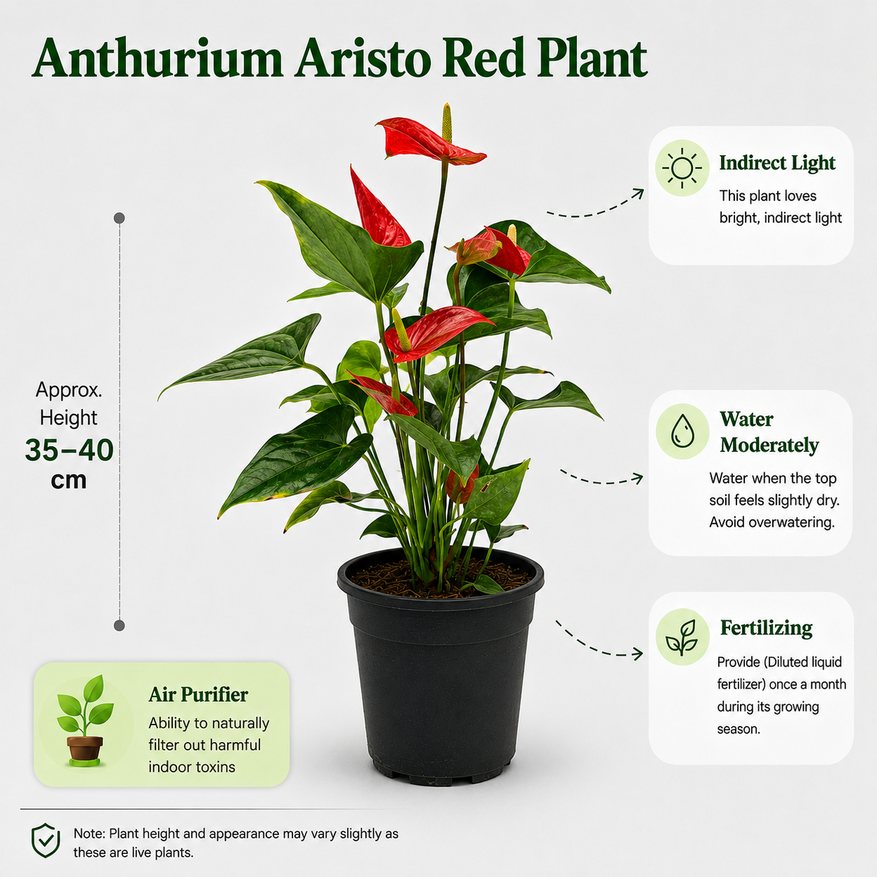 The Plantor