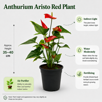 The Plantor