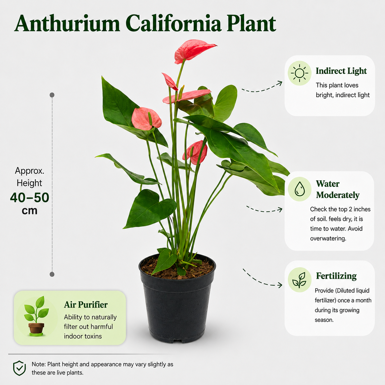 The Plantor
