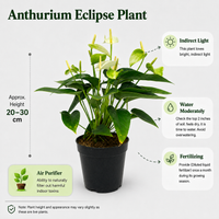 The Plantor