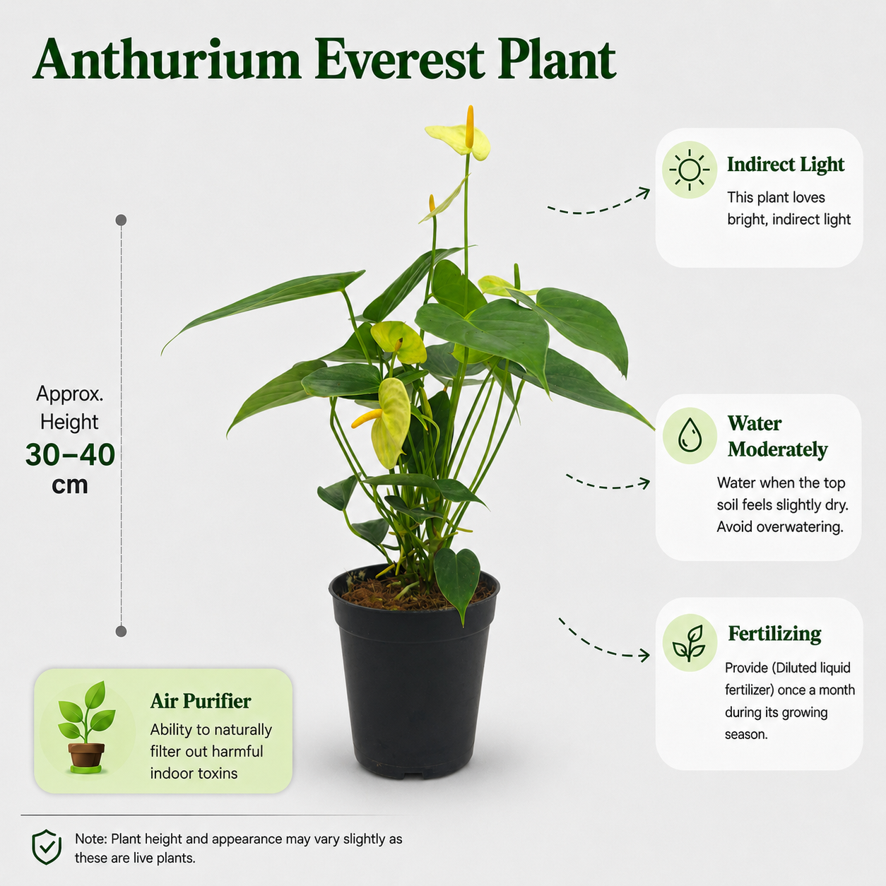 The Plantor